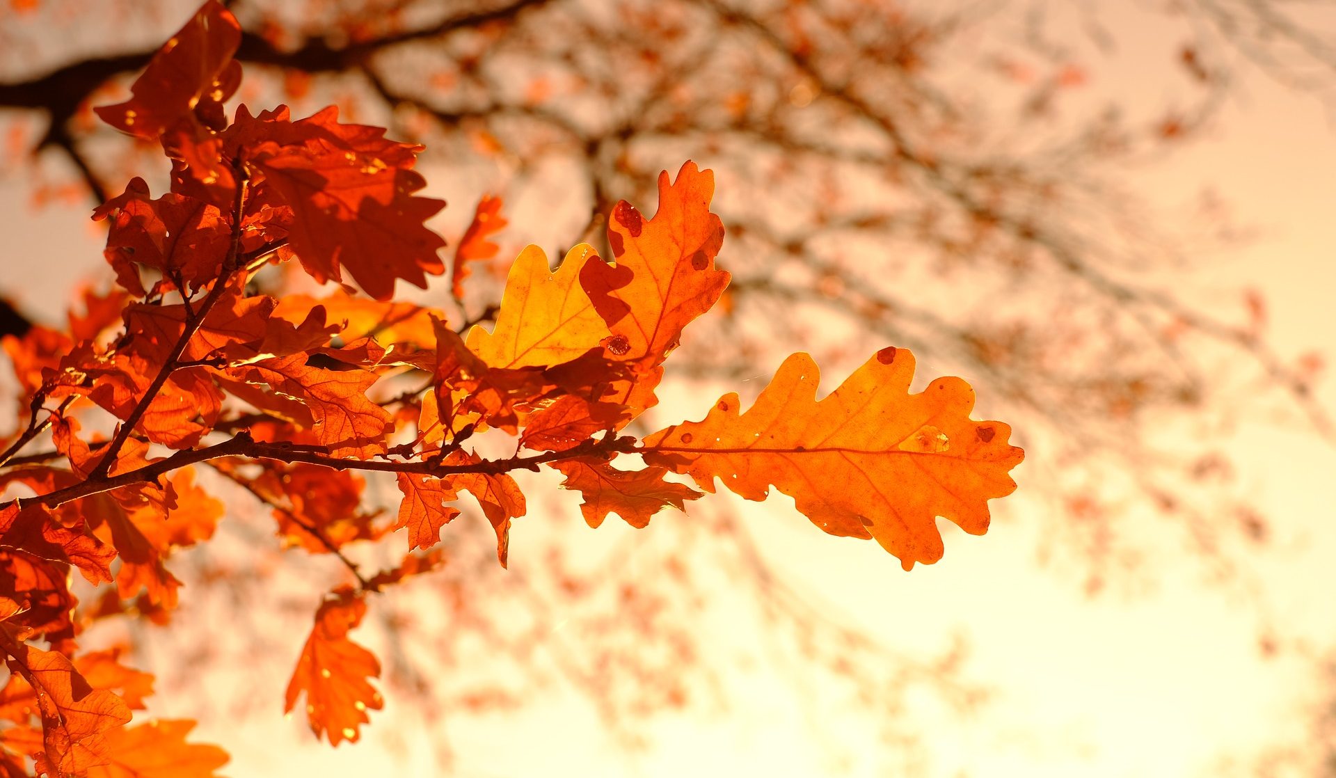 Tristeza o depresión